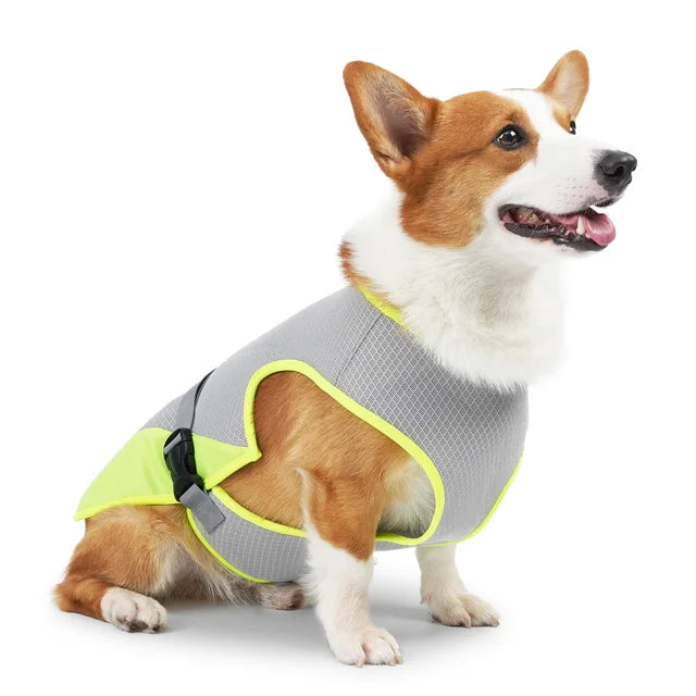 BreezeVest | Kühlende Hundeweste für Sommerkomfort und Outdoor-Aktivitäten