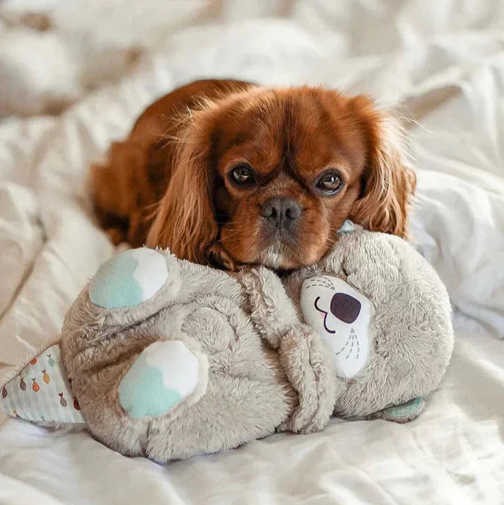 CozyBreath | Beruhigendes Hundespielzeug mit lebensechter Atmung