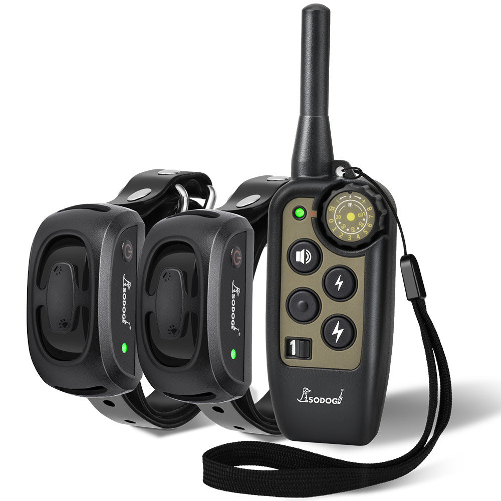 Perfektes Trainingshalsband | Optimales Ferntraining für Hunde