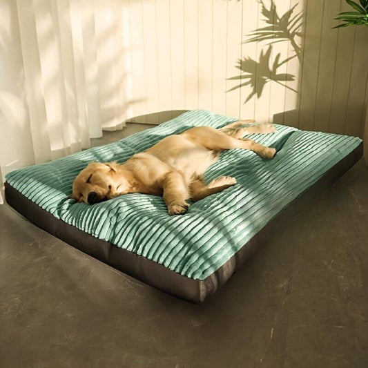 Hundebett orthopädisch | Waschbares Hundebett für kleine & große Hunde