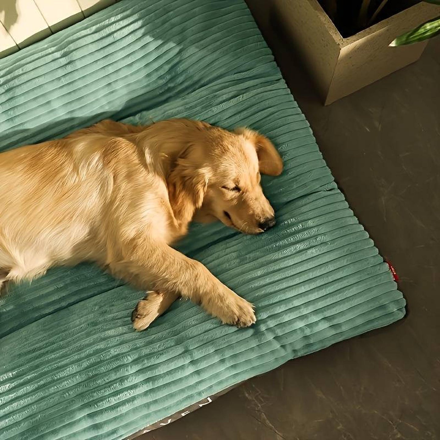 Hundebett orthopädisch | Waschbares Hundebett für kleine & große Hunde