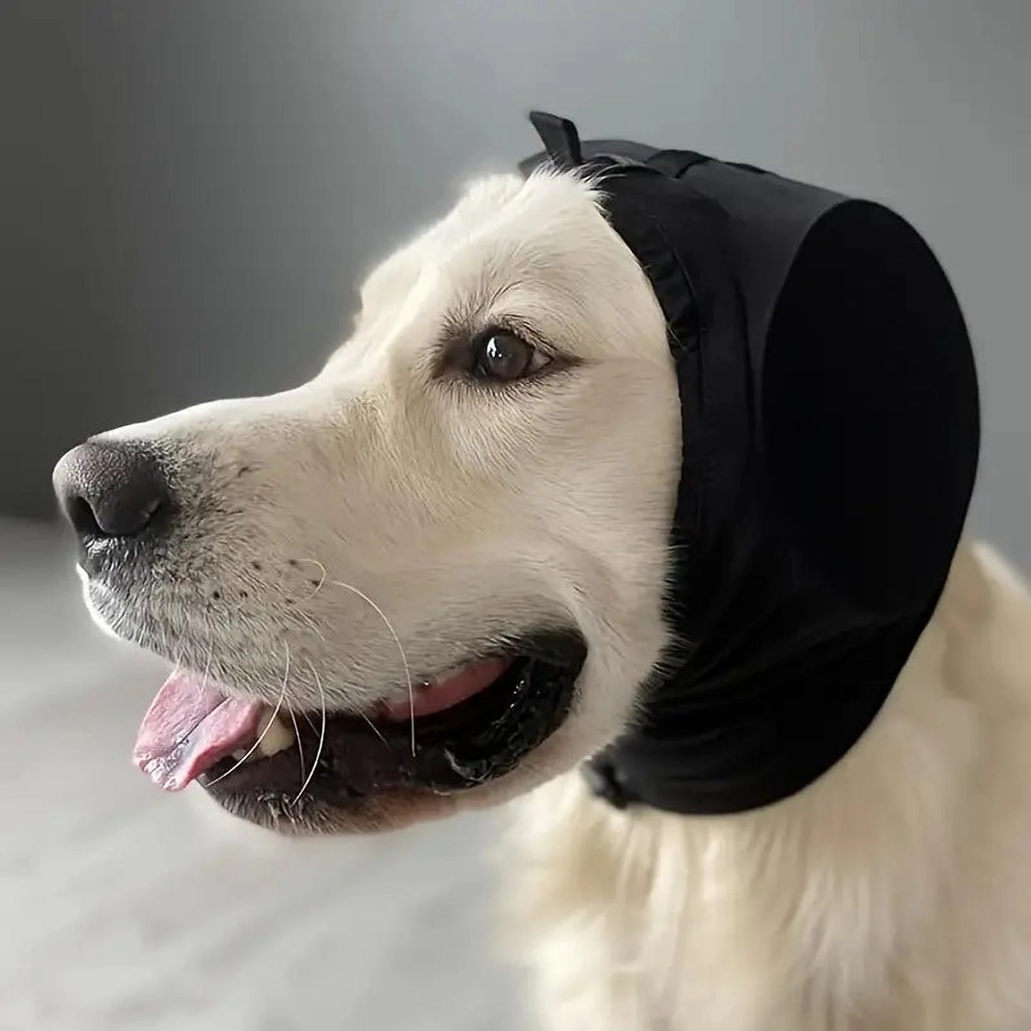 Ohrenschützer für Hunde | Geräuschdämpfender Gehörschutz für laute Umgebungen