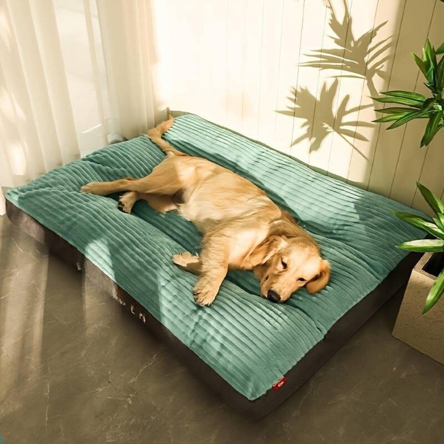 Hundebett orthopädisch | Waschbares Hundebett für kleine & große Hunde
