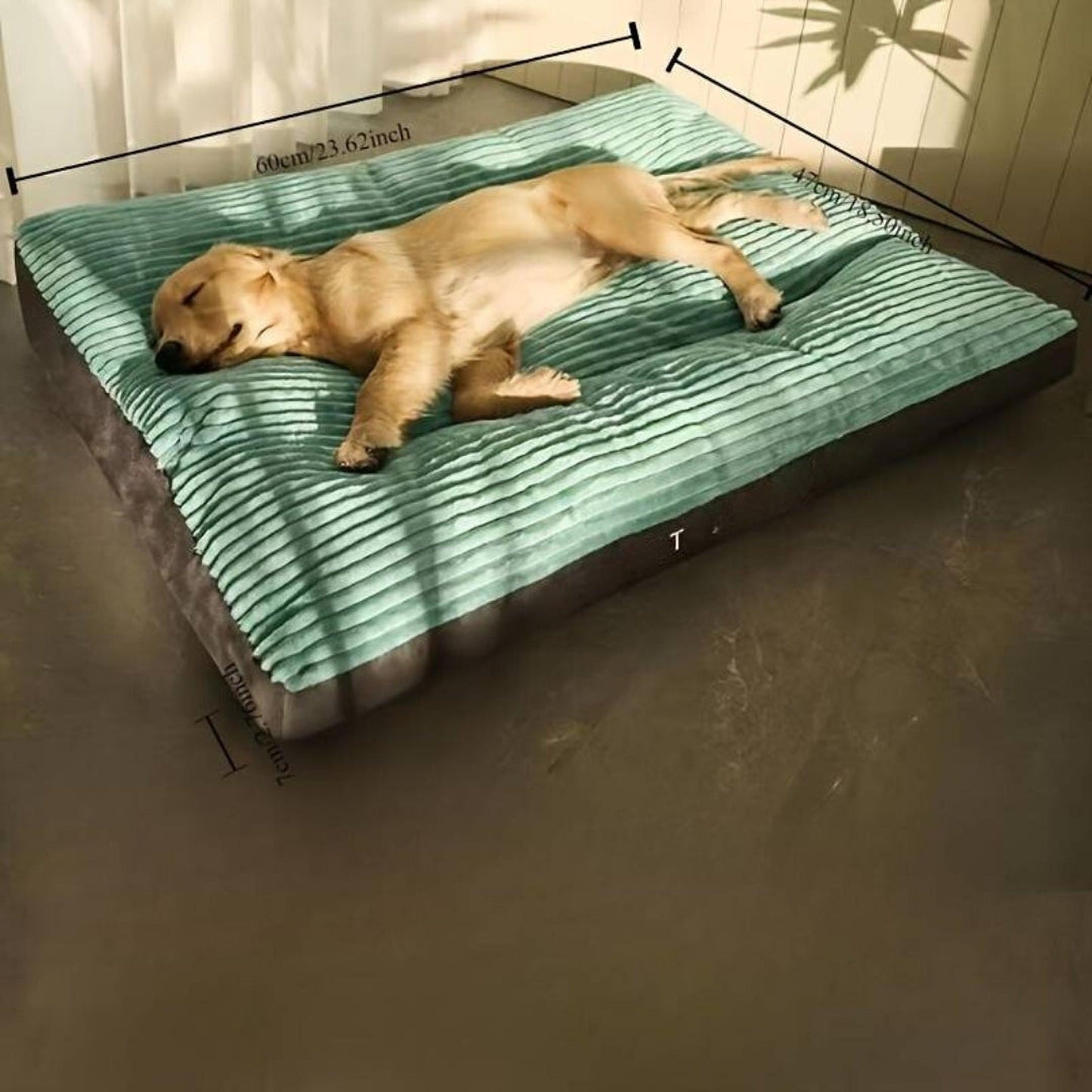 Hundebett orthopädisch | Waschbares Hundebett für kleine & große Hunde