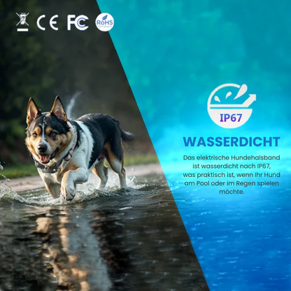 TrainPro | Hundefreundliches Trainingshalsband mit Fernbedienung und 3 Modi