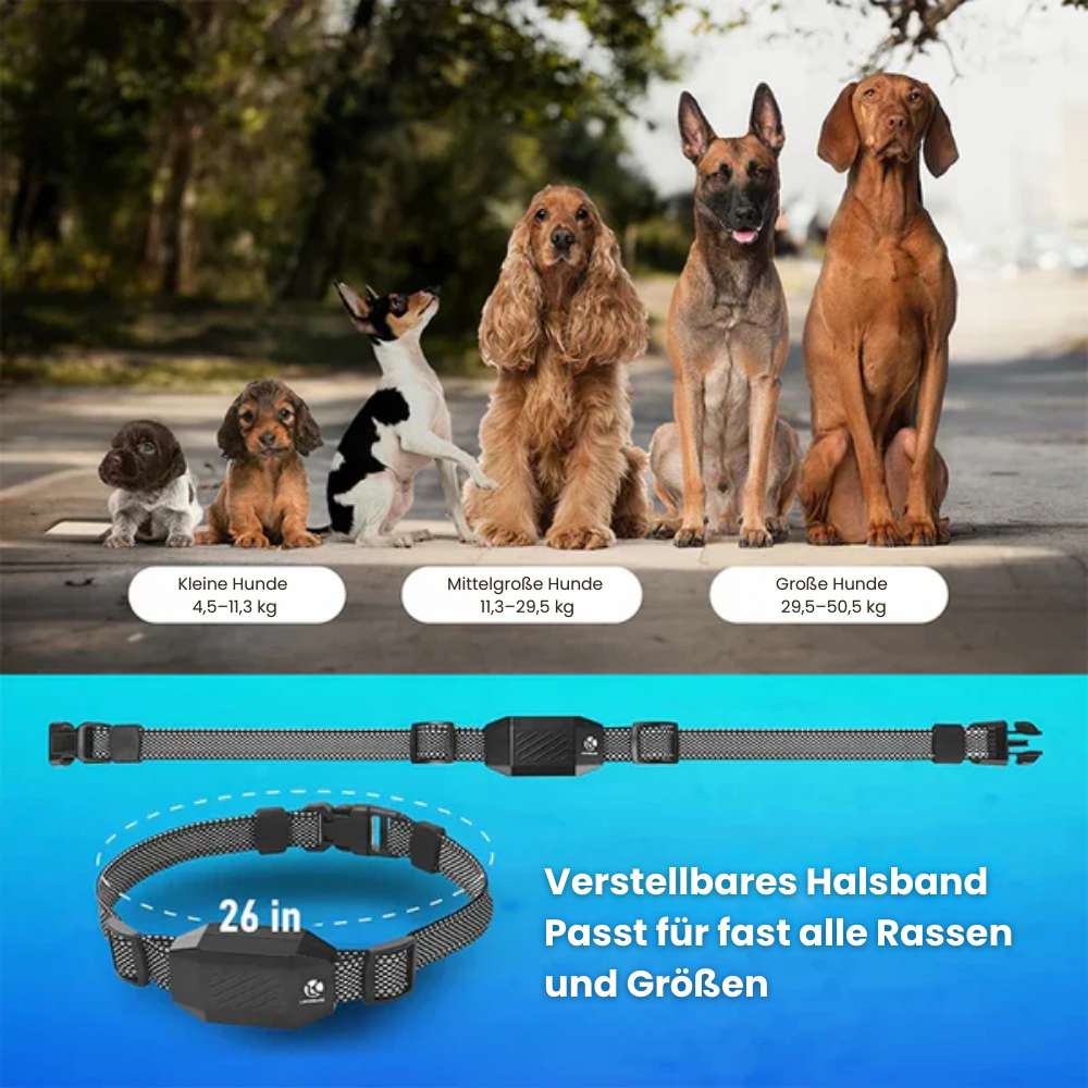 TrainPro | Hundefreundliches Trainingshalsband mit Fernbedienung und 3 Modi