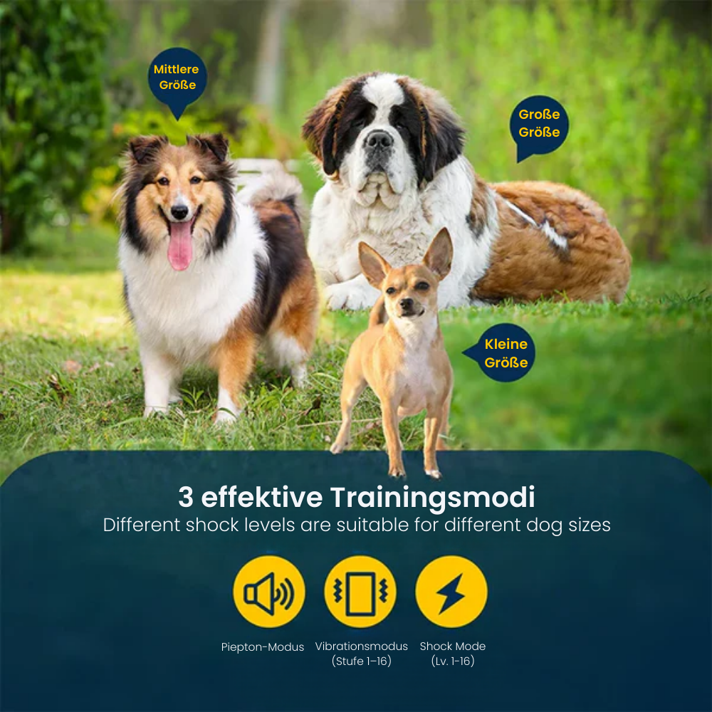 TrainPro | Hundefreundliches Trainingshalsband mit Fernbedienung und 3 Modi
