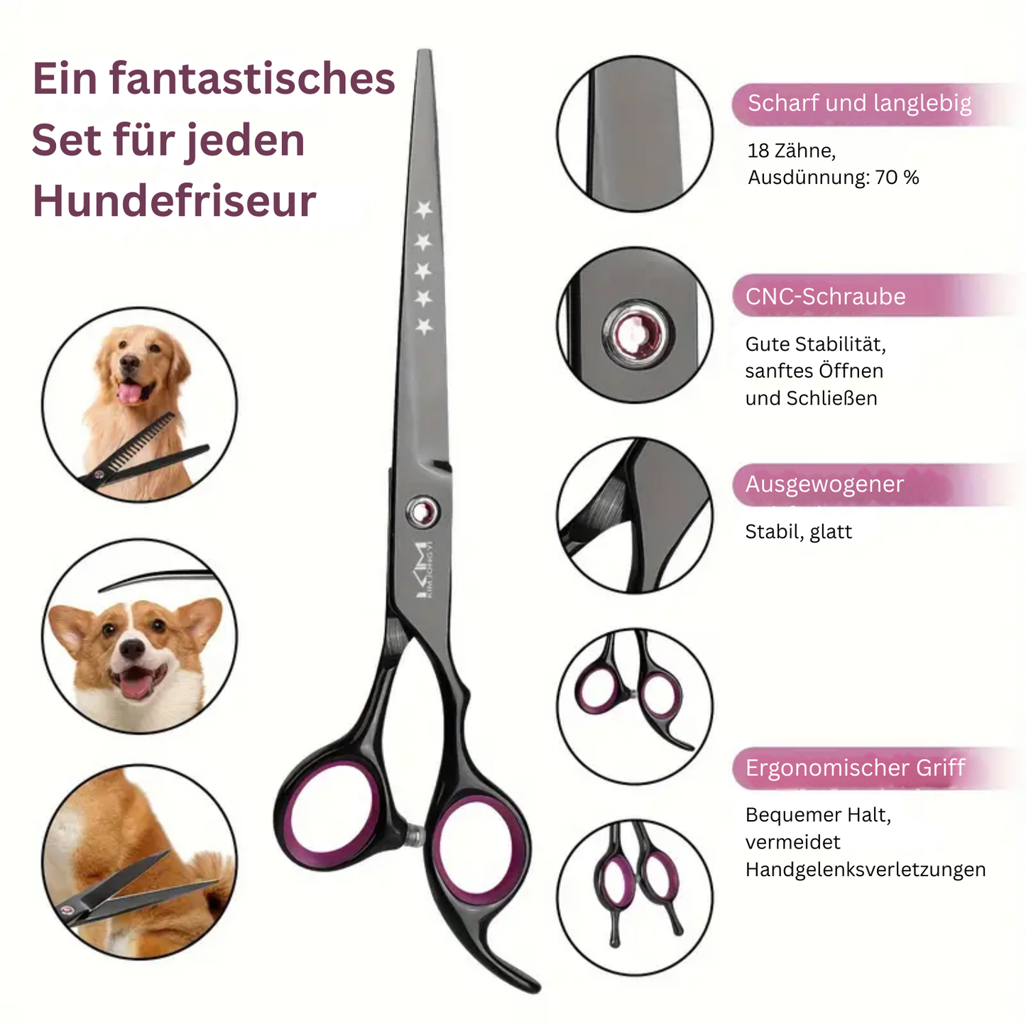 Eva | Hundescheren-Set für professionelle Pflege