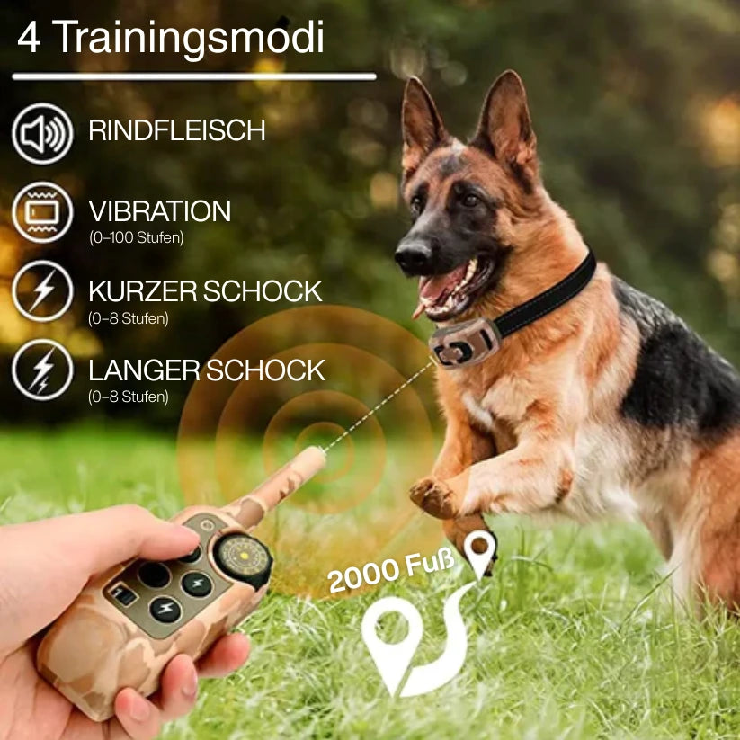 Ace | Trainingshalsband für effektives Hundetraining auf Distanz