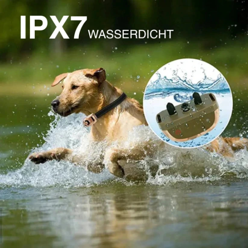 Ace | Trainingshalsband für effektives Hundetraining auf Distanz