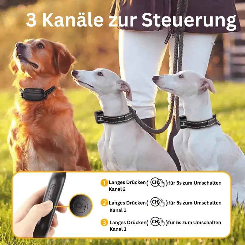 Anti Bell Halsband Hund | Trainingshalsband mit Fernbedienung