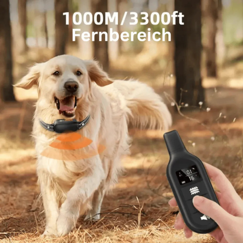 Anti Bell Halsband Hund | Trainingshalsband mit Fernbedienung