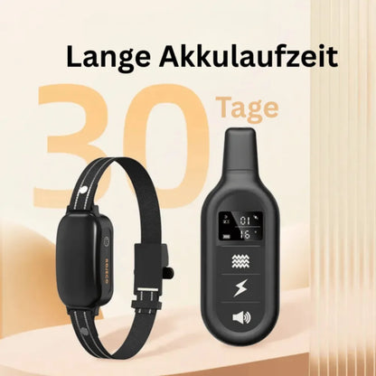 Anti Bell Halsband Hund | Trainingshalsband mit Fernbedienung
