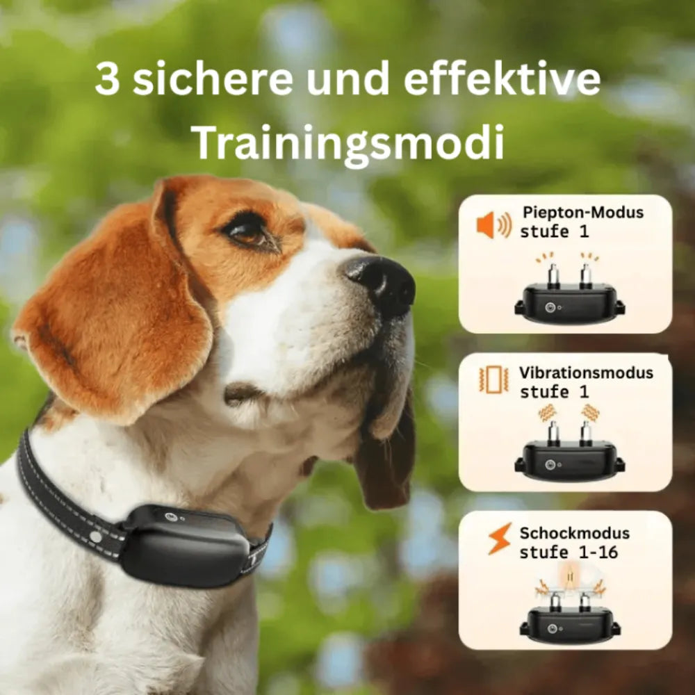 Anti Bell Halsband Hund | Trainingshalsband mit Fernbedienung