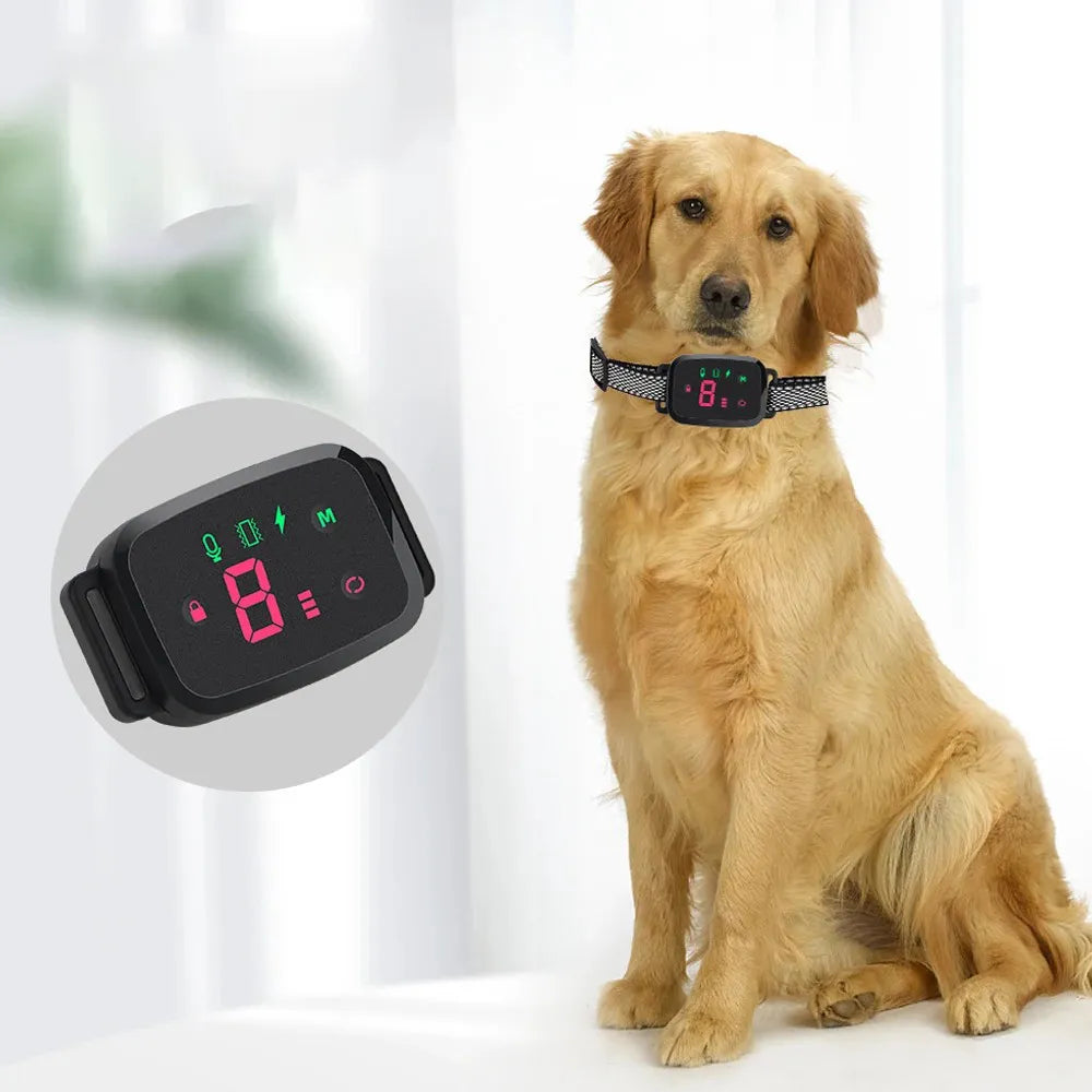 Anti Bell Halsband Hund | Wasserdichtes Trainingshalsband mit Sensor