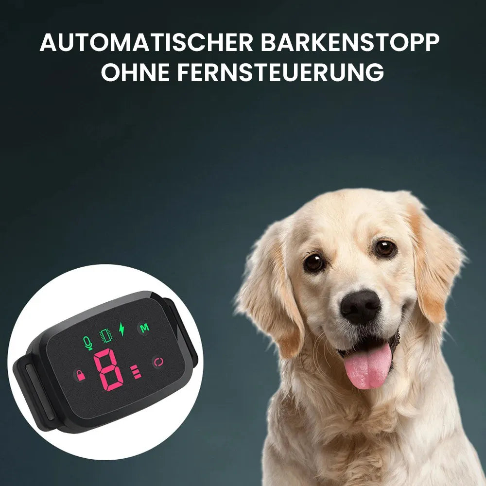 Anti Bell Halsband Hund | Wasserdichtes Trainingshalsband mit Sensor