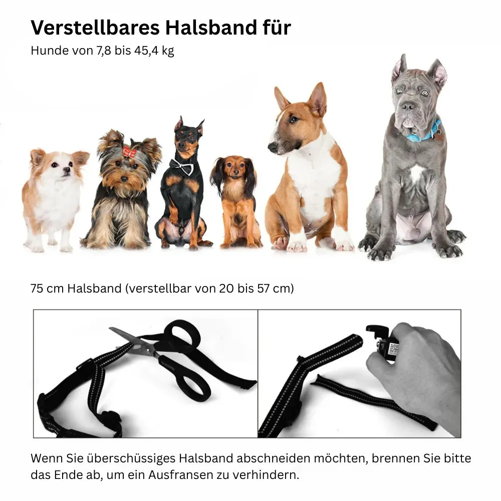 Anti Bell Halsband Hund | Wiederaufladbares Trainingshalsband mit Fernbedienung