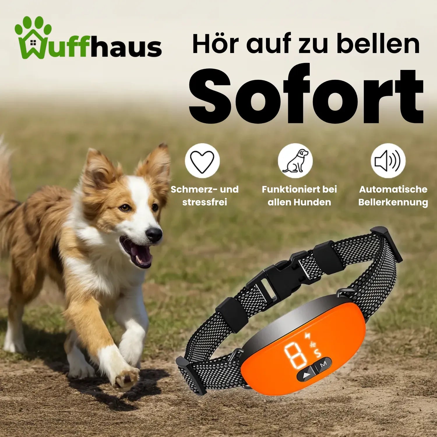 Antibellhalsband | Intelligentes, wiederaufladbares Hundehalsband mit einstellbarer Empfindlichkeit
