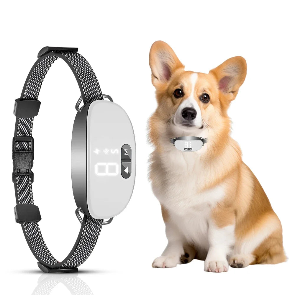 Antibellhalsband | Intelligentes, wiederaufladbares Hundehalsband mit einstellbarer Empfindlichkeit