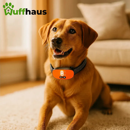 Antibellhalsband | Intelligentes, wiederaufladbares Hundehalsband mit einstellbarer Empfindlichkeit