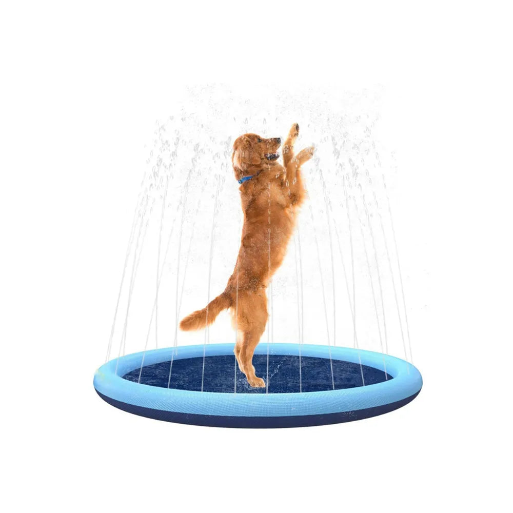 AquaPaws Spielzeug | Wasserspaß für Ihren Hund