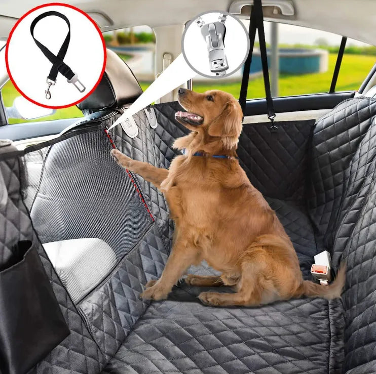 AutoGuard | Rücksitzschutz für Hunde