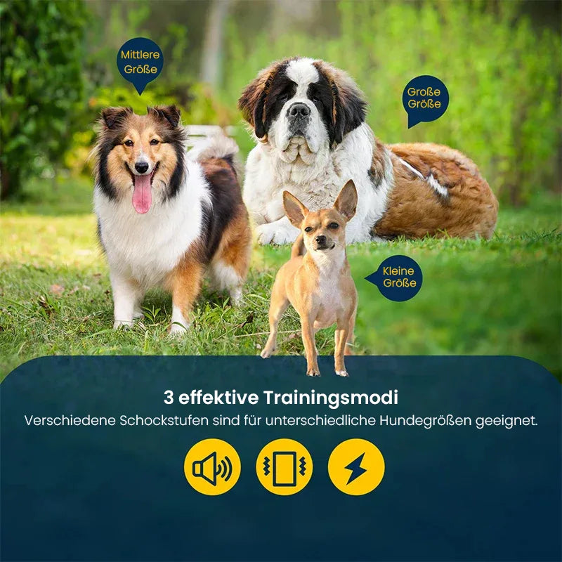 Beli Hundetrainingshalsband | Hundehalsband mit Fernbedienung