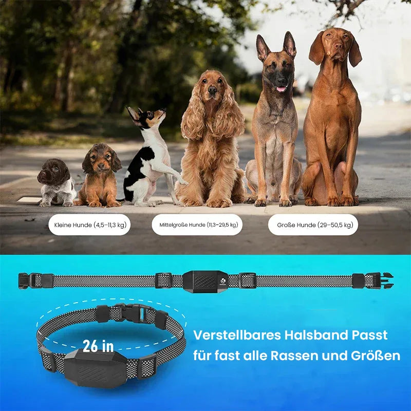 Beli Hundetrainingshalsband | Hundehalsband mit Fernbedienung