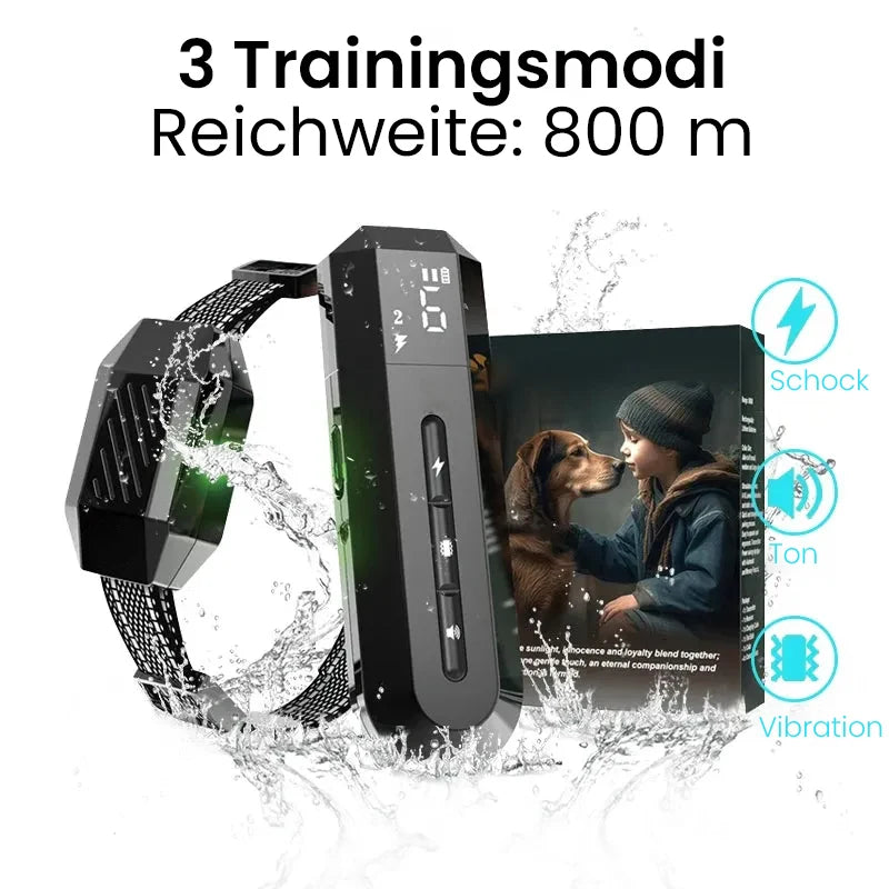 Beli Hundetrainingshalsband | Hundehalsband mit Fernbedienung
