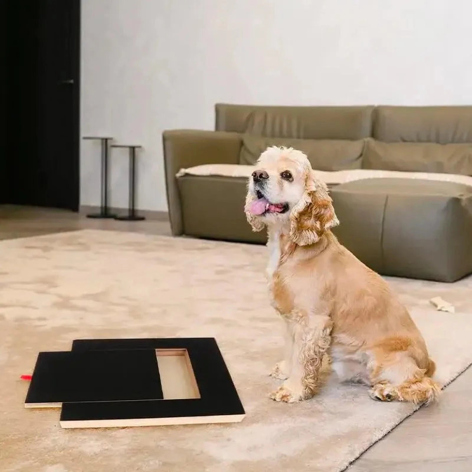 Bodo | Hundekrallen Kratzbrett mit Leckerlis