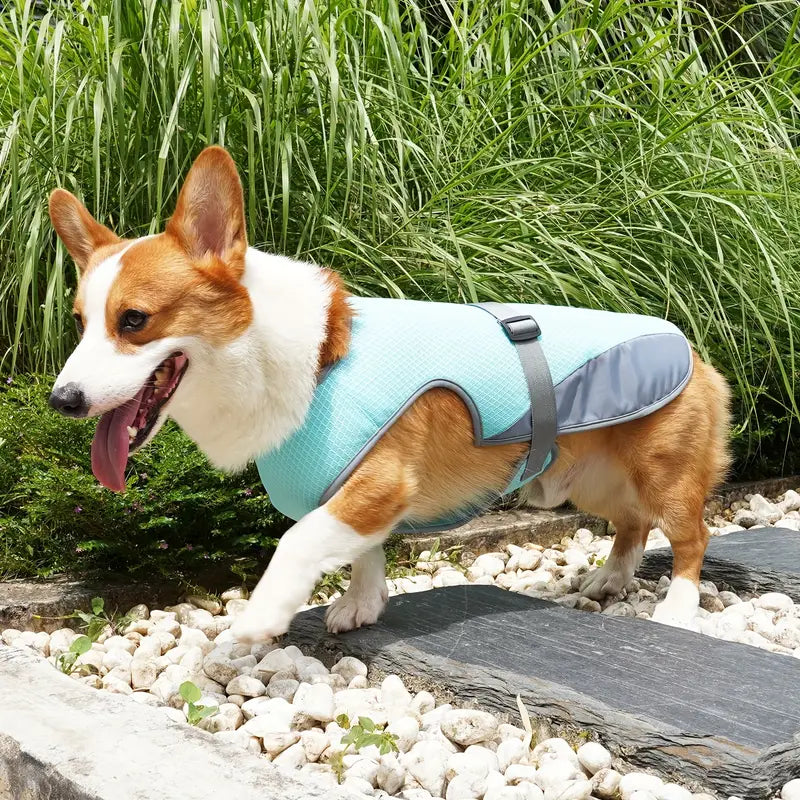 BreezeVest | Kühlende Hundeweste für Sommerkomfort und Outdoor-Aktivitäten