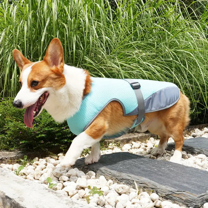 BreezeVest | Kühlende Hundeweste für Sommerkomfort und Outdoor-Aktivitäten