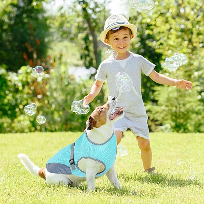 BreezeVest | Kühlende Hundeweste für Sommerkomfort und Outdoor-Aktivitäten