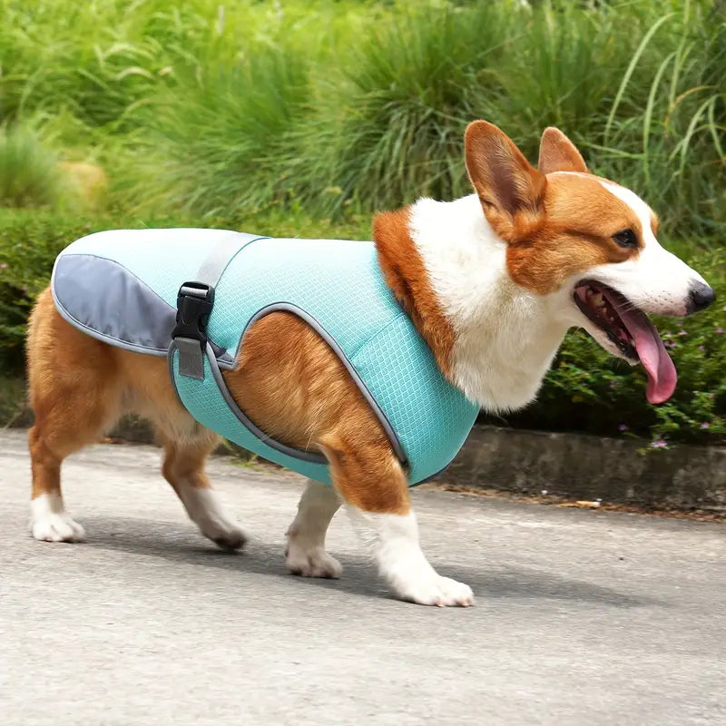 BreezeVest | Kühlende Hundeweste für Sommerkomfort und Outdoor-Aktivitäten