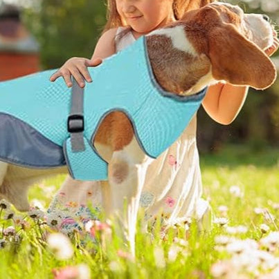 BreezeVest | Kühlende Hundeweste für Sommerkomfort und Outdoor-Aktivitäten