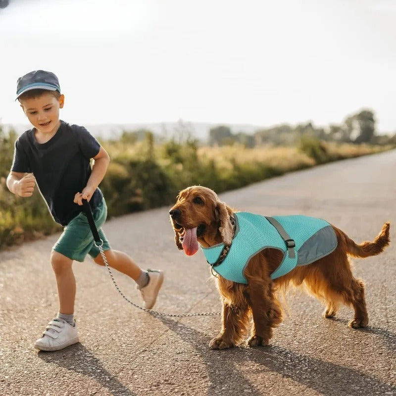 BreezeVest | Kühlende Hundeweste für Sommerkomfort und Outdoor-Aktivitäten