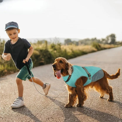BreezeVest | Kühlende Hundeweste für Sommerkomfort und Outdoor-Aktivitäten