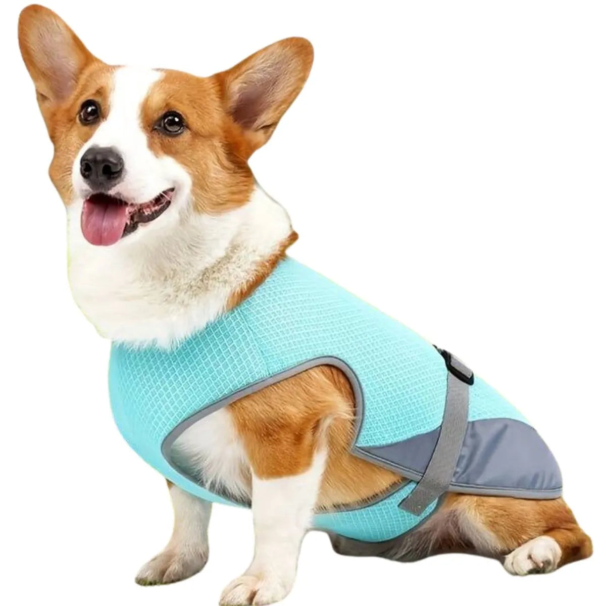 BreezeVest | Kühlende Hundeweste für Sommerkomfort und Outdoor-Aktivitäten