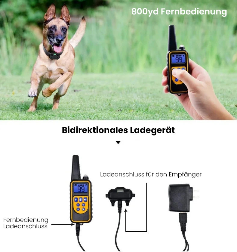 CalmTrainer | Trainingshalsband mit Fernbedienung, Vibration, USB