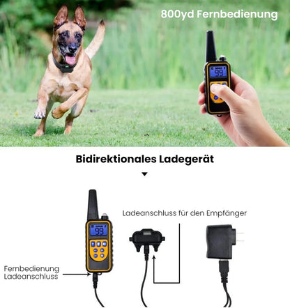 CalmTrainer | Trainingshalsband mit Fernbedienung, Vibration, USB