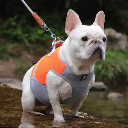 ChillCoat | Kühlende Hundeweste für heiße Sommertage und Outdoor-Aktivitäten