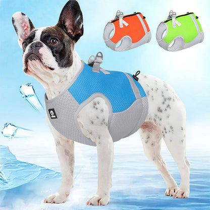 ChillCoat | Kühlende Hundeweste für heiße Sommertage und Outdoor-Aktivitäten