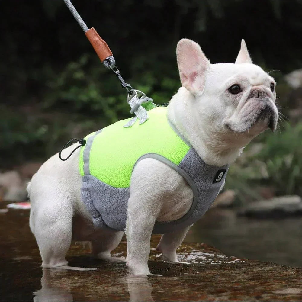 ChillCoat | Kühlende Hundeweste für heiße Sommertage und Outdoor-Aktivitäten