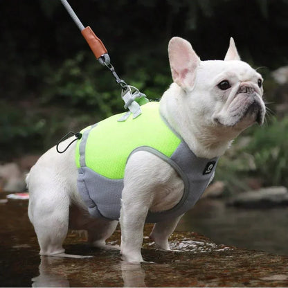 ChillCoat | Kühlende Hundeweste für heiße Sommertage und Outdoor-Aktivitäten