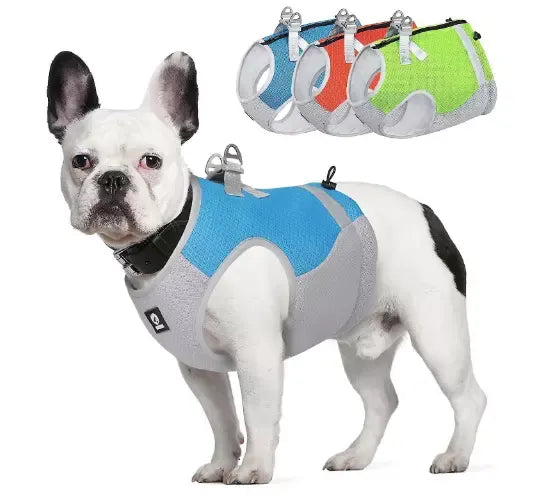 ChillCoat | Kühlende Hundeweste für heiße Sommertage und Outdoor-Aktivitäten