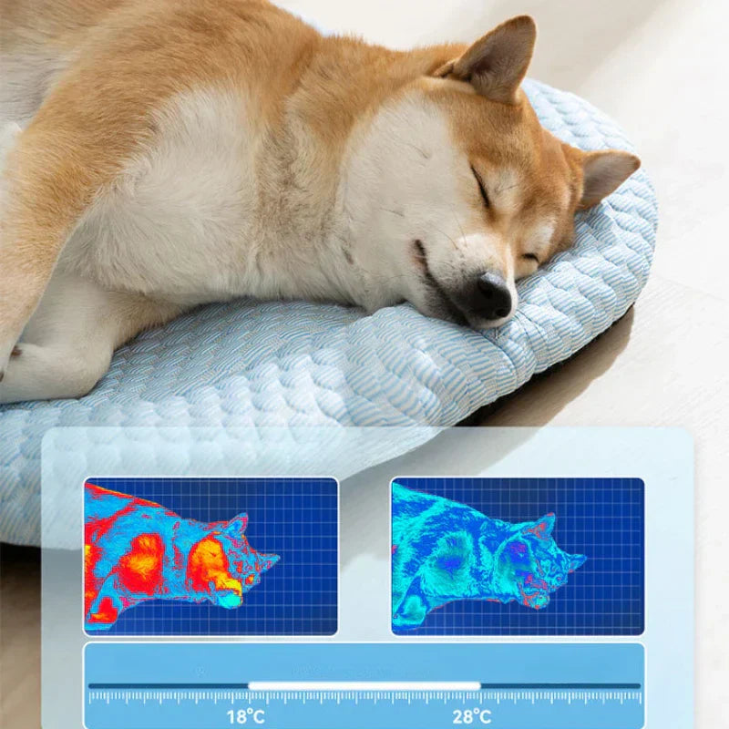 ChillNest | Hundekühlmatte für heiße Tage und Stressabbau