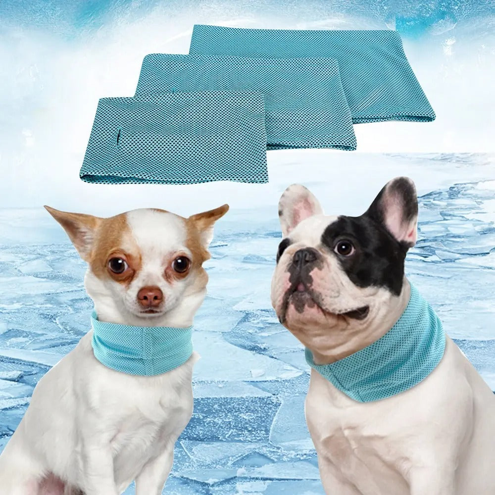 ChillPup | Kühlendes Halsband für heiße Sommertage