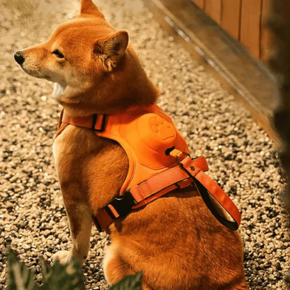 Cindy | Hundegeschirr gegen Ziehen