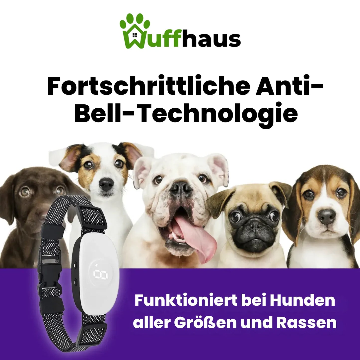 Dog Quiet Husher | Anti-Bell-Halsband mit 8 Stufen und 4 Modi