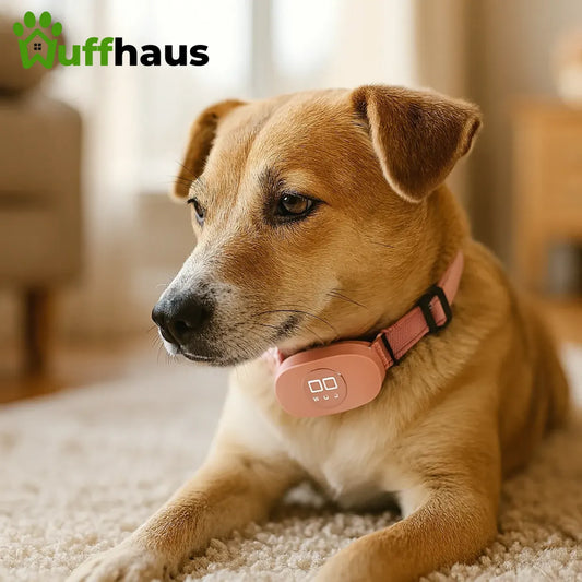 Dog Quiet Husher | Anti-Bell-Halsband mit 8 Stufen und 4 Modi